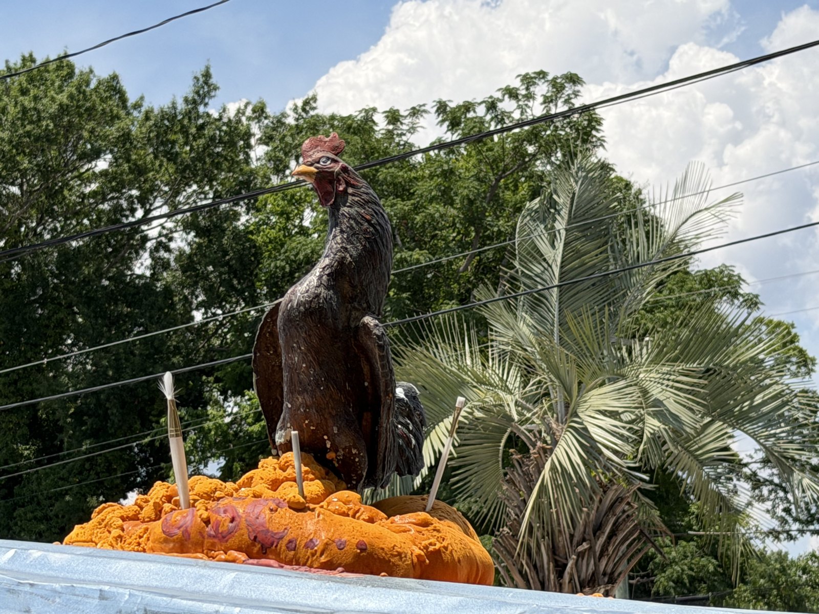 The rooftop chicken on Gervais Street